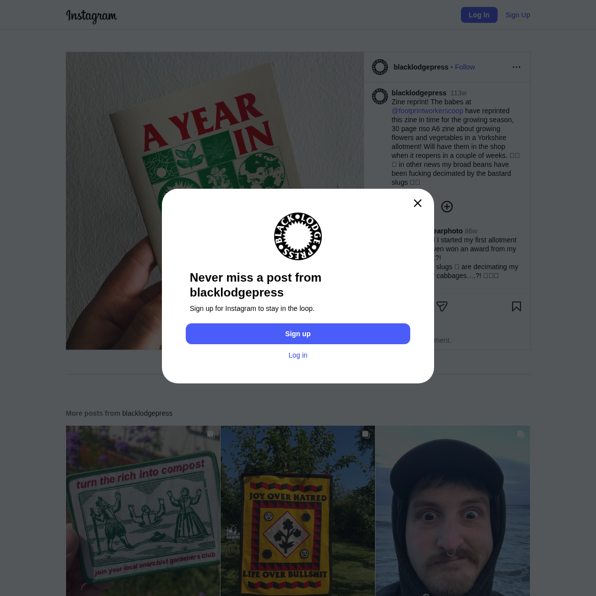 Screenshot of website.