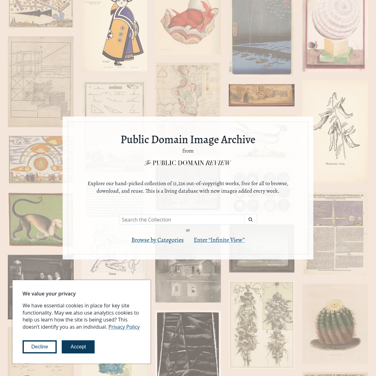 Screenshot of website.
